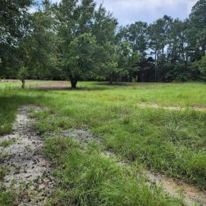 Photo #10 of 306 Howards Landing, Hampstead, NC 4.6 acres