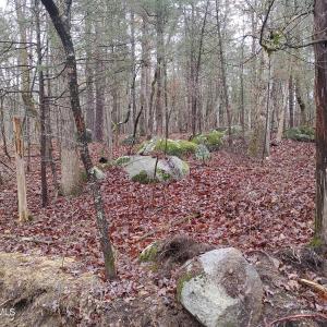 Photo #10 of 889 Old Stonehouse, Chapel Hill, NC 6.5 acres