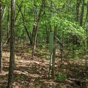 Photo #9 of 889 Old Stonehouse, Chapel Hill, NC 6.5 acres