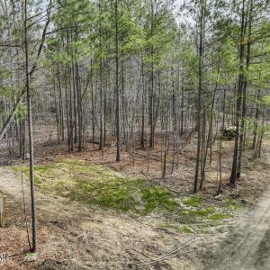 Photo #7 of 889 Old Stonehouse, Chapel Hill, NC 6.5 acres