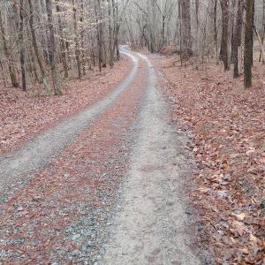 Photo #4 of 889 Old Stonehouse, Chapel Hill, NC 6.5 acres