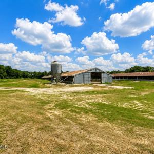 Photo #4 of 5601 Snags Path, Pink Hill, NC 11.9 acres