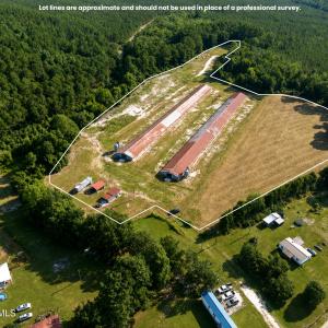 Photo #6 of 5601 Snags Path, Pink Hill, NC 11.9 acres