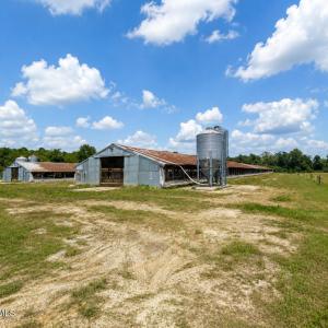 Photo #2 of 5601 Snags Path, Pink Hill, NC 11.9 acres
