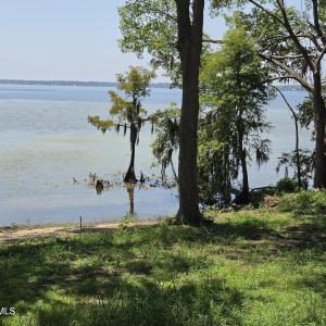 Photo #8 of Tbd Pine, Lake Waccamaw, NC 0.5 acres