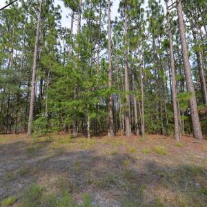 Photo #1 of 873 & 881 Eden, Southport, NC 1.0 acres
