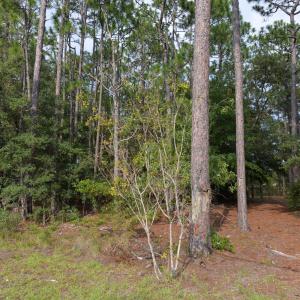 Photo #3 of 881 Eden, Southport, NC 0.7 acres