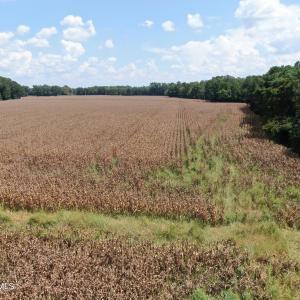 Photo #22 of Tbd Pleasant Hope, Fairmont, NC 102.8 acres