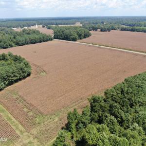 Photo #18 of Tbd Pleasant Hope, Fairmont, NC 102.8 acres