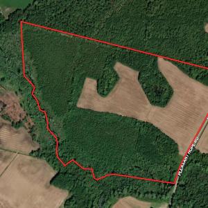 Photo #2 of Tbd Pleasant Hope, Fairmont, NC 102.8 acres