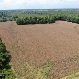 Photo #19 of Tbd Pleasant Hope, Fairmont, NC 102.8 acres