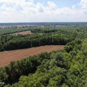 Photo #14 of Tbd Pleasant Hope, Fairmont, NC 102.8 acres