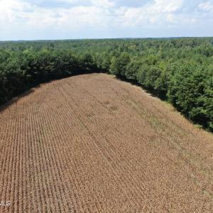 Photo #15 of Tbd Pleasant Hope, Fairmont, NC 102.8 acres