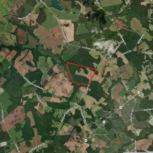 Photo #4 of Tbd Pleasant Hope, Fairmont, NC 102.8 acres