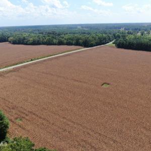 Photo #13 of Tbd Pleasant Hope, Fairmont, NC 102.8 acres