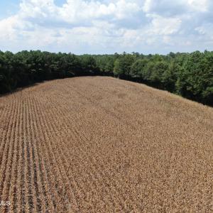 Photo #17 of Tbd Pleasant Hope, Fairmont, NC 102.8 acres