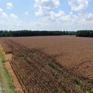 Photo #6 of Tbd Pleasant Hope, Fairmont, NC 102.8 acres