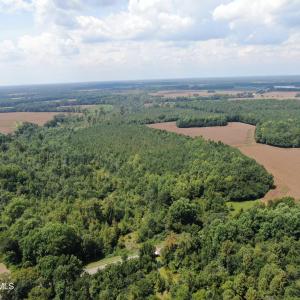 Photo #9 of Tbd Pleasant Hope, Fairmont, NC 102.8 acres