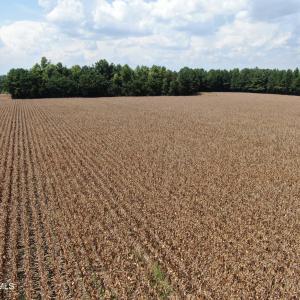 Photo #20 of Tbd Pleasant Hope, Fairmont, NC 102.8 acres