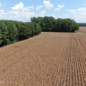 Photo #16 of Tbd Pleasant Hope, Fairmont, NC 102.8 acres