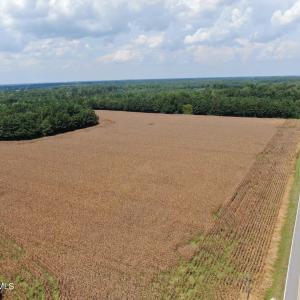Photo #11 of Tbd Pleasant Hope, Fairmont, NC 102.8 acres