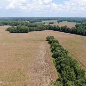 Photo #17 of Tbd Nc 41, Fairmont, NC 55.5 acres