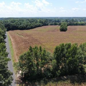Photo #5 of Tbd Nc 41, Fairmont, NC 55.5 acres