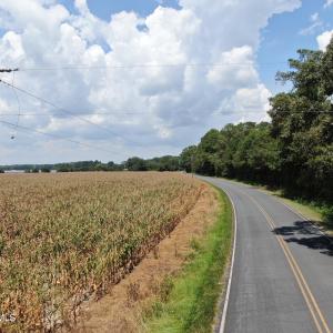 Photo #3 of Tbd Nc 41, Fairmont, NC 55.5 acres