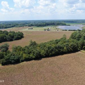 Photo #23 of Tbd Nc 41, Fairmont, NC 55.5 acres
