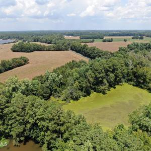 Photo #19 of Tbd Nc 41, Fairmont, NC 55.5 acres