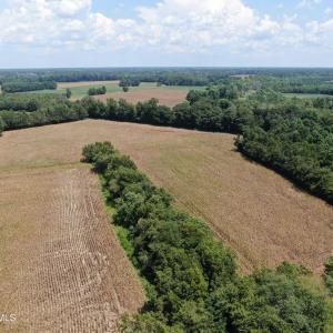 Photo #18 of Tbd Nc 41, Fairmont, NC 55.5 acres