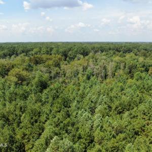 Photo #13 of Tbd Fairgrove, Fairmont, NC 69.0 acres