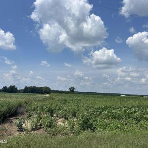 Photo #25 of Tbd Fairgrove, Fairmont, NC 69.0 acres