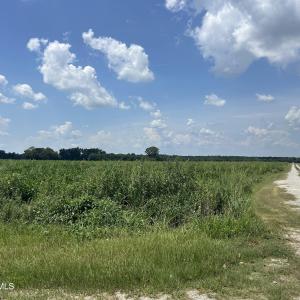 Photo #27 of Tbd Fairgrove, Fairmont, NC 69.0 acres