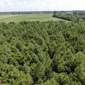 Photo #14 of Tbd Fairgrove, Fairmont, NC 69.0 acres