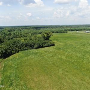 Photo #21 of Tbd Fairgrove, Fairmont, NC 69.0 acres