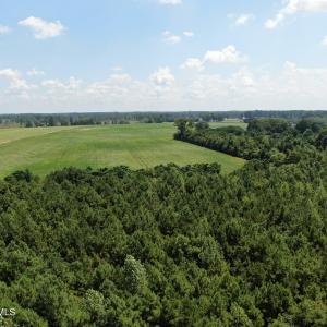Photo #12 of Tbd Fairgrove, Fairmont, NC 69.0 acres
