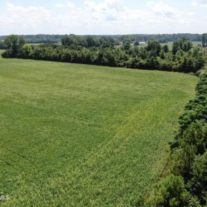 Photo #15 of Tbd Fairgrove, Fairmont, NC 69.0 acres