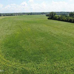 Photo #16 of Tbd Fairgrove, Fairmont, NC 69.0 acres