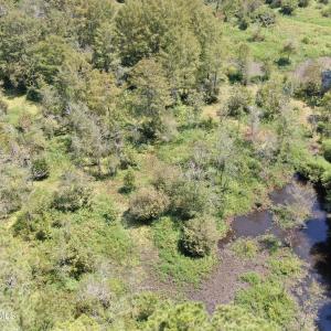 Photo #10 of Tbd Fairgrove, Fairmont, NC 69.0 acres