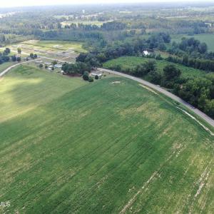 Photo #11 of Tbd Chicken, Fairmont, NC 64.7 acres