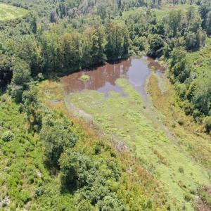 Photo #24 of Tbd Chicken, Fairmont, NC 64.7 acres