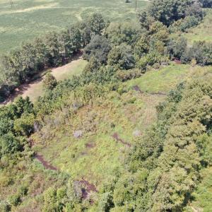 Photo #25 of Tbd Chicken, Fairmont, NC 64.7 acres