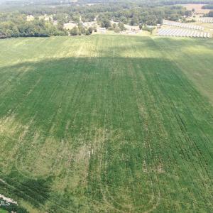 Photo #6 of Tbd Chicken, Fairmont, NC 64.7 acres