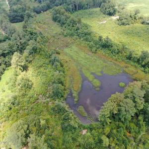 Photo #14 of Tbd Chicken, Fairmont, NC 64.7 acres