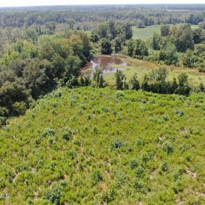 Photo #30 of Tbd Chicken, Fairmont, NC 64.7 acres