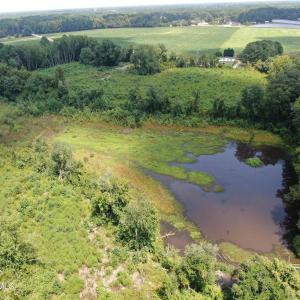 Photo #17 of Tbd Chicken, Fairmont, NC 64.7 acres