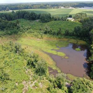 Photo #20 of Tbd Chicken, Fairmont, NC 64.7 acres
