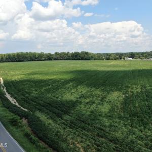 Photo #4 of Tbd Chicken, Fairmont, NC 64.7 acres