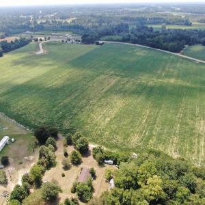 Photo #12 of Tbd Chicken, Fairmont, NC 64.7 acres